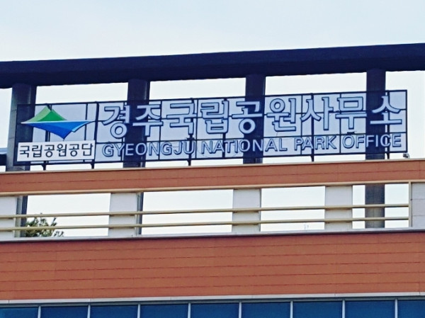 20190424_205330.jpg